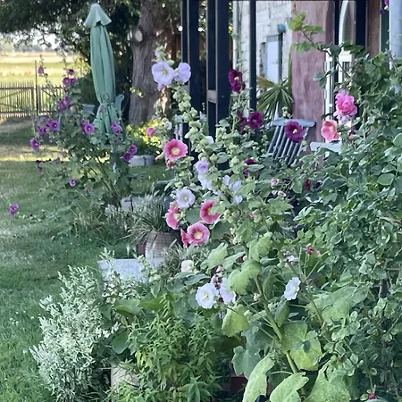 Sommerhaus Julin Casa de Férias