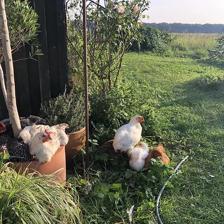 Sommerhaus Julin Casa de Férias