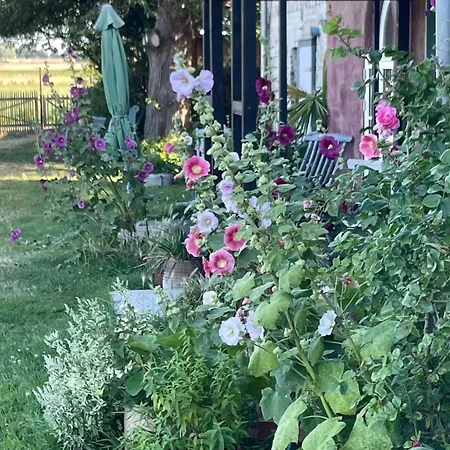 Sommerhaus Julin Nyaraló *