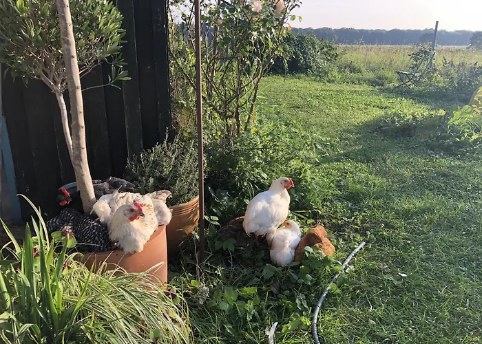 Sommerhaus Julin 度假居